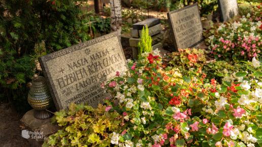 Cmentarz w Laskach
