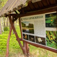 Park Narodowy Bory Tucholskie, Pętla Lipnickiego