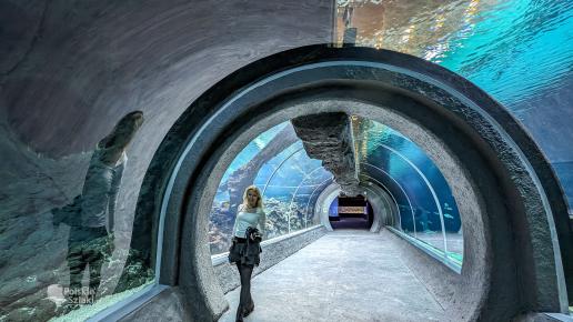 Zoo Łódź Orientarium, tunel