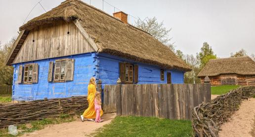 Muzeum Wsi Mazowieckiej. Skansen w Sierpcu z tradycyjną rzędówką - zdjęcie