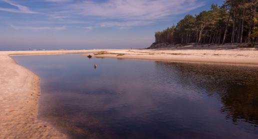 Spływ Piaśnicą prosto do Morza Bałtyckiego. Tak uatrakcyjnisz wakacje nad morzem - zdjęcie