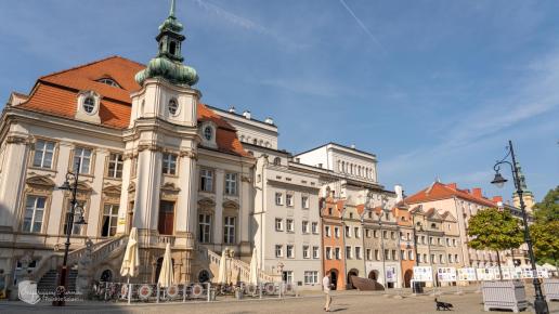 Legnica rynek