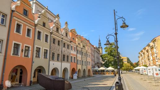 Legnica, śledziówki