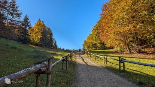 Pieniński Park Narodowy