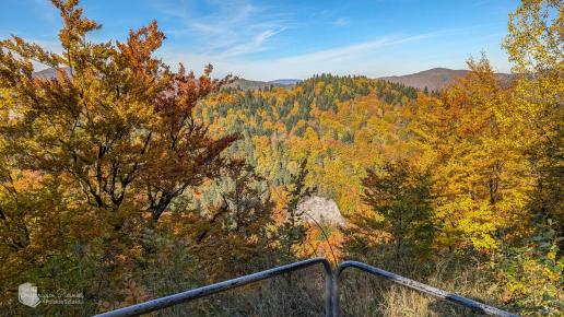 Zamek Pieniny