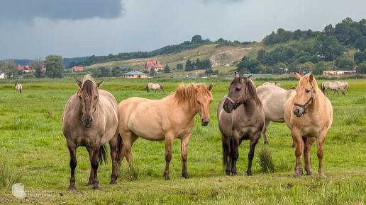 Rezerwat Beka
