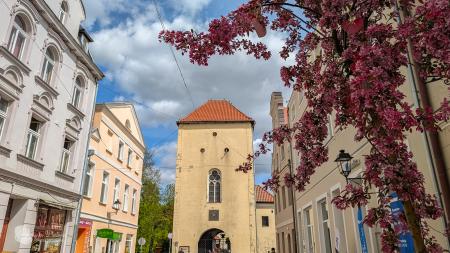 Brama Grudziądzka w Chełmnie - zdjęcie