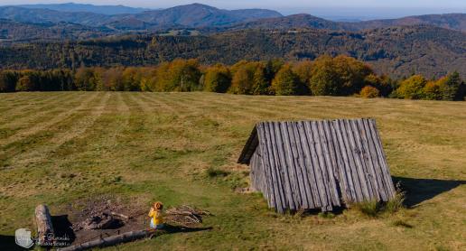 Hala Jaworowa - widokowa polana w Beskidzie Śląskim - zdjęcie