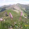 Tatry Zachodnie, ania