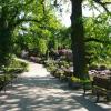 Arboretum w Wojsławicach , MARTUSIA I ADAŚ