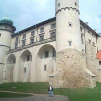 Zamki w Nowym Wiśniczu i Dębnie, Dariusz Lipka