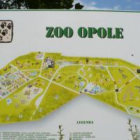 ZOO w Opolu, Arkadiusz Musielak