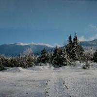 Babia Góra zimą, Teresa Nowak