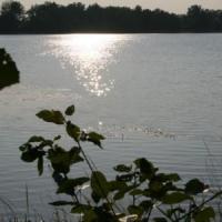 Jezioro Chechło, Teresa Nowak