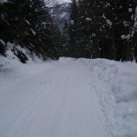 tatrzańskie dolinki, krystyna