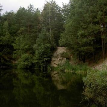Rezerwat przyrody Biesak-Białogon - zdjęcie