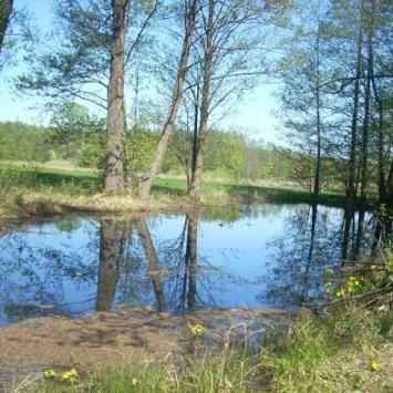 Wycieczka rowerowa - zdjęcie