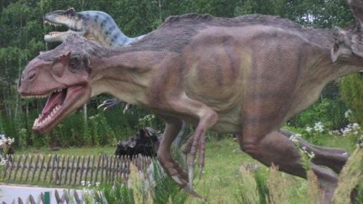 Tropem dinozaurów - JuraPark Bałtów, Gosia