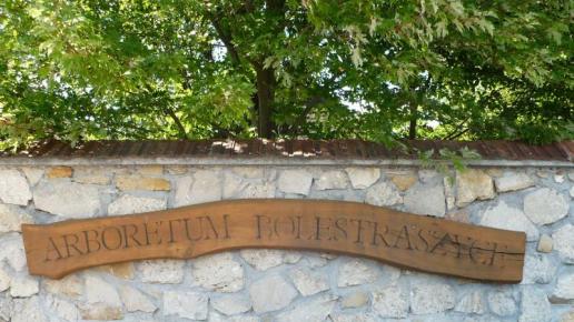Bolestraszyce - Arboretum
