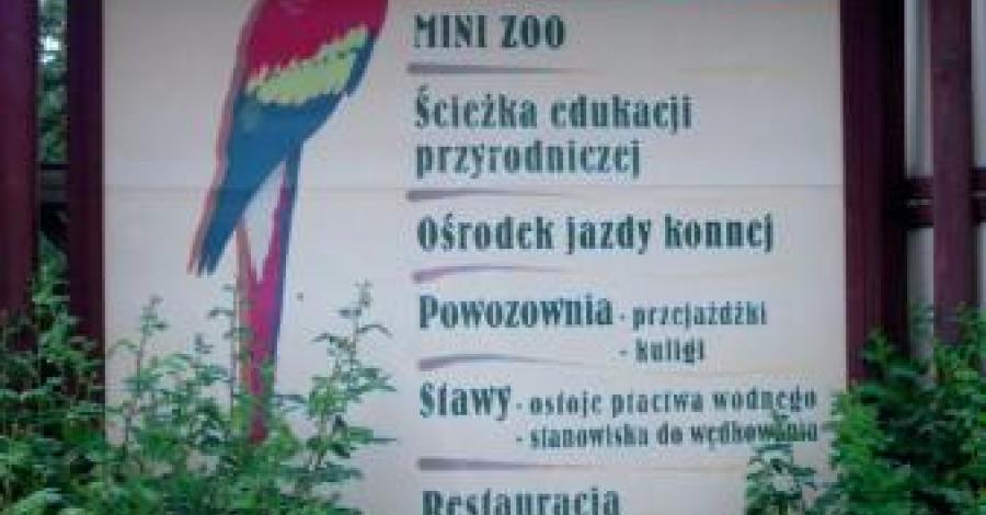 Mini Zoo w Rogowie i Bukowie - zdjęcie