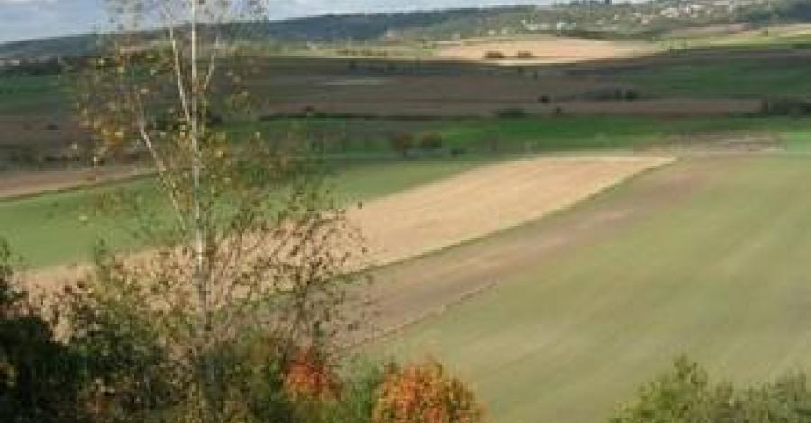 Rezerwat Kajasówka - zdjęcie
