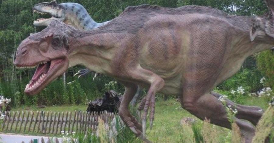 Tropem dinozaurów - JuraPark Bałtów - zdjęcie