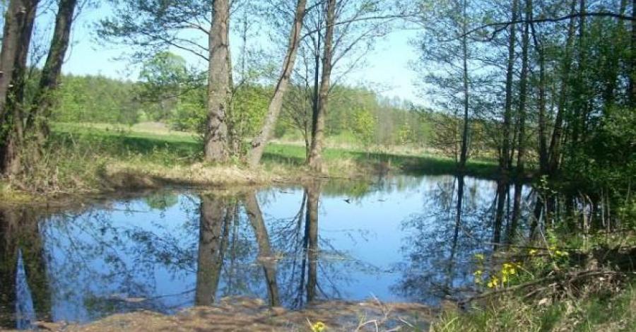 Wycieczka rowerowa - zdjęcie