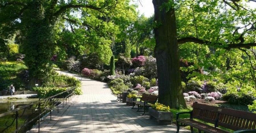 Arboretum w Wojsławicach - zdjęcie