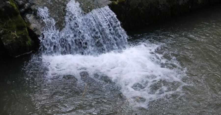 Rezerwat Białej Wody - Pieniny - zdjęcie