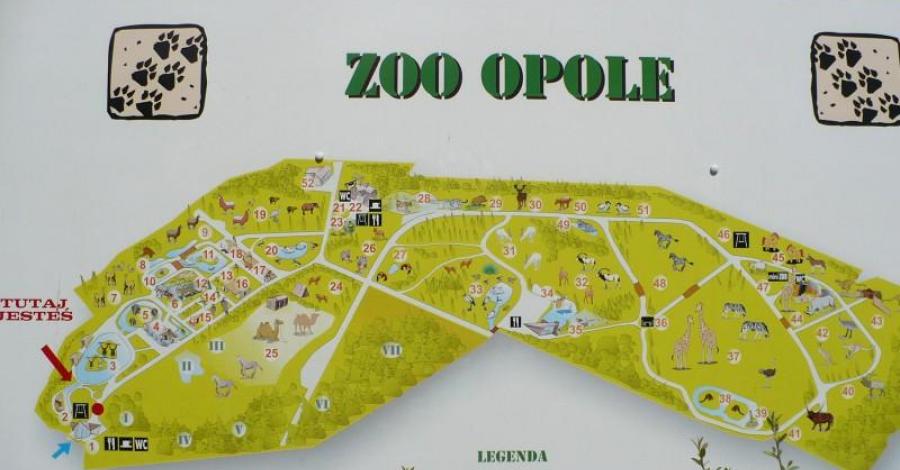 ZOO w Opolu - zdjęcie