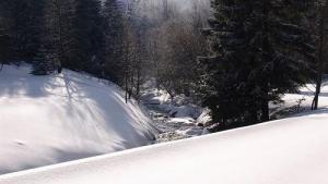 Art Ski w Bielicach - zdjęcie