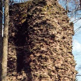 Ruiny zamku Radosno w Rybnicy Leśnej