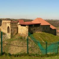 zamek w Dobczycach, Katarzyna Jamrozik