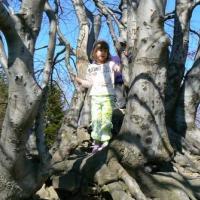 zabawa dzieci w drzewie, Katarzyna Jamrozik