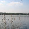 Jezioro w Antoninie