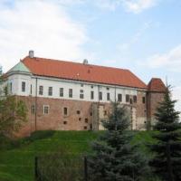 Zamek w Sandomierzu, Joanna Bochenek