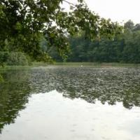Staw Ameryka, Katarzyna Jamrozik