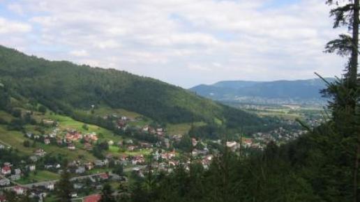 Widok na Szczyrk, Jan Paradowski