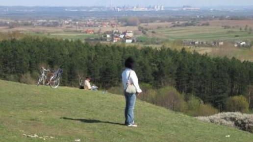 Widok z Góry Siewierskiej na hutę Katowice , Jan Paradowski