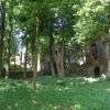 Ruiny zamku Gryf, Edward Krężel