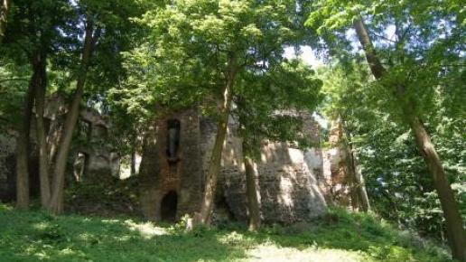 Ruiny zamku Gryf, Edward Krężel