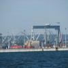 Port w Gdyni., Darek