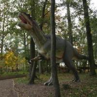 Rogowo - Park Dinozaurów 4, Grzegorz Binkiewicz