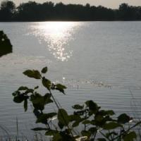 , Teresa Nowak