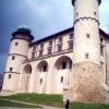 Zamek w Nowym Wiśniczu, Dariusz Lipka