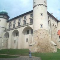 Zamek w Nowym Wiśniczu, Dariusz Lipka