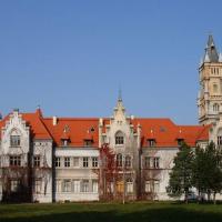 Pałac W Nakle Śląskim, Ola Dzitkowska