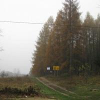 , Marek Weber