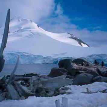 Antarktyka - zdjęcie