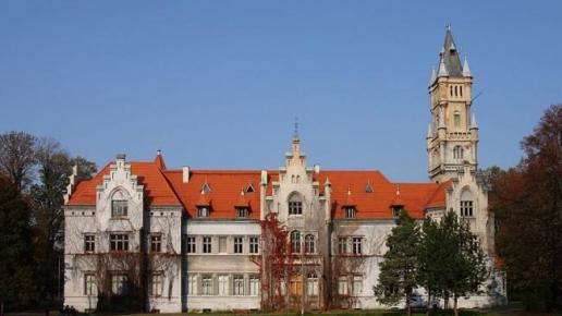 Pałac W Nakle Śląskim, Ola Dzitkowska